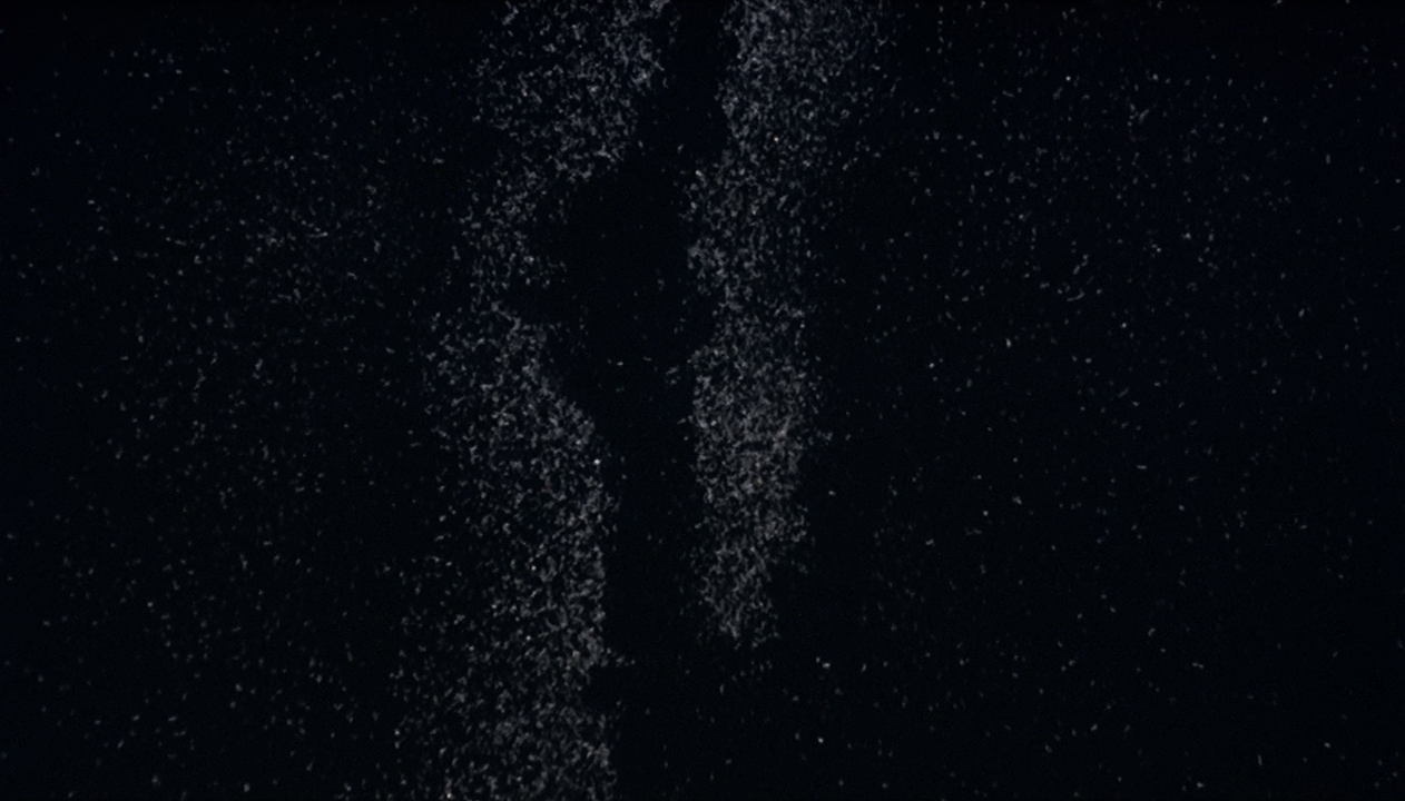 Ginga Tetsudou no Yoru (720p) (Escuadrón Antiperry)